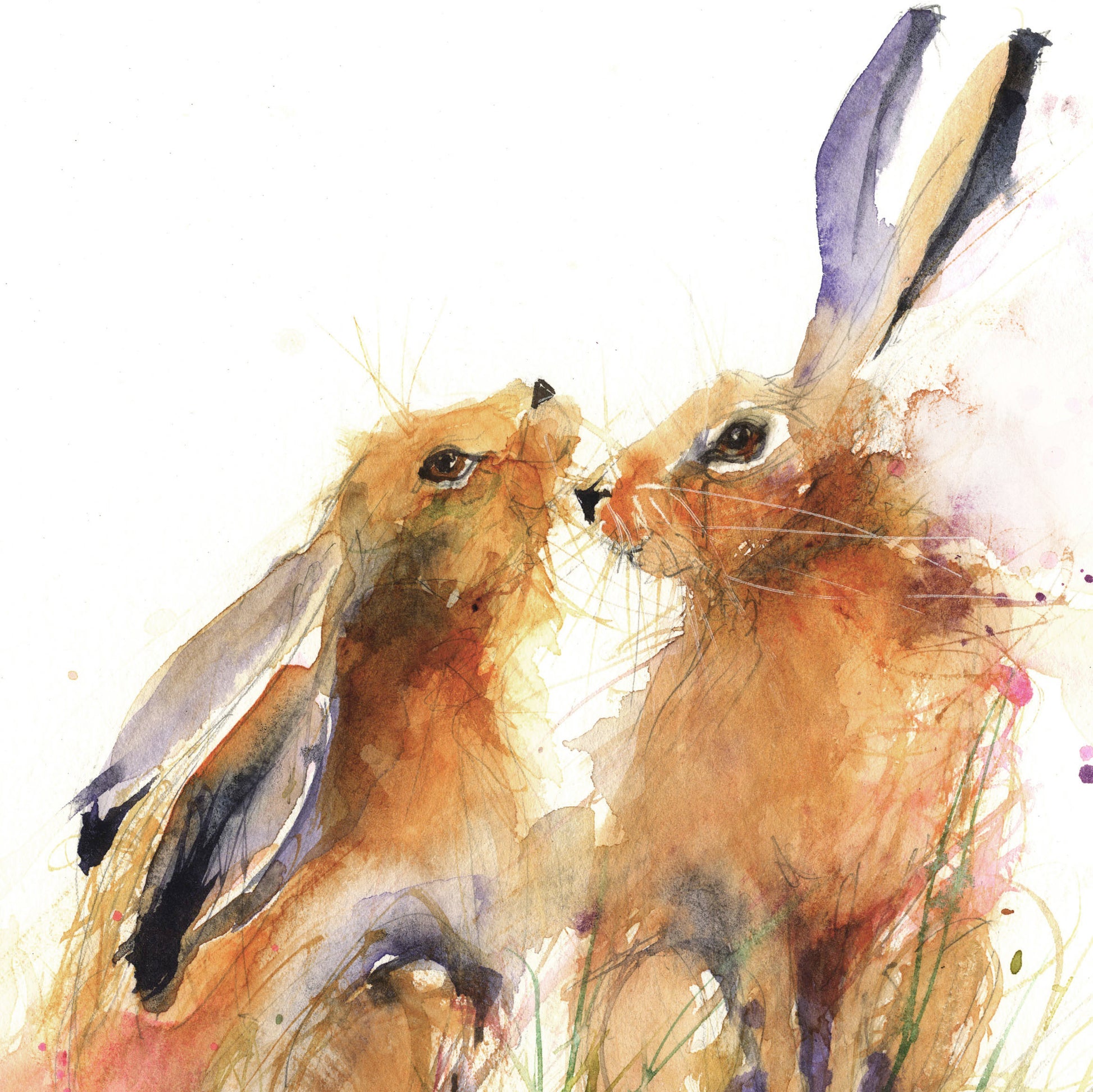 LIMITED EDITION PRINT snuggling hares - Jen Buckley Art limited edition animal art prints