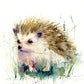 limited edition print "Hedgehog" - Jen Buckley Art limited edition animal art prints