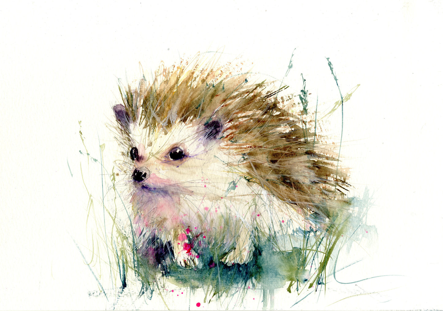 limited edition print "Hedgehog" - Jen Buckley Art limited edition animal art prints