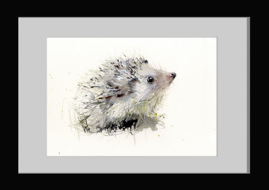limited edition hedgehog print  print "Arthur" - Jen Buckley Art limited edition animal art prints