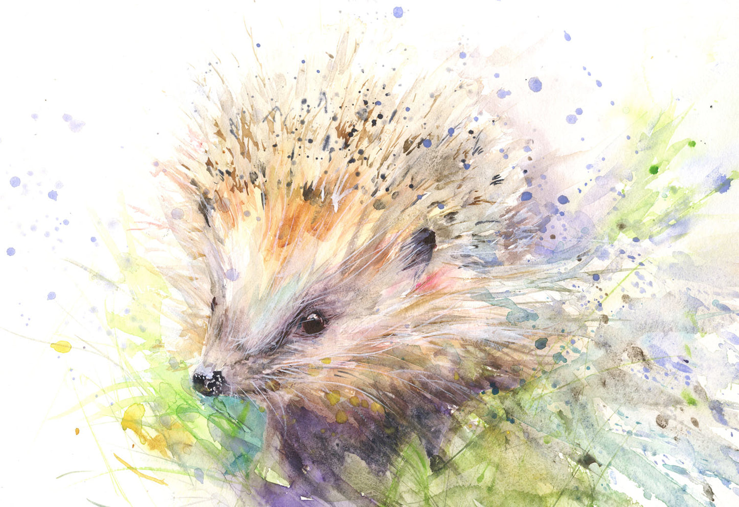 Signed limited edition PRINT of an original  HEDGEHOG watercolour painting "Lucy" - Jen Buckley Art limited edition animal art prints