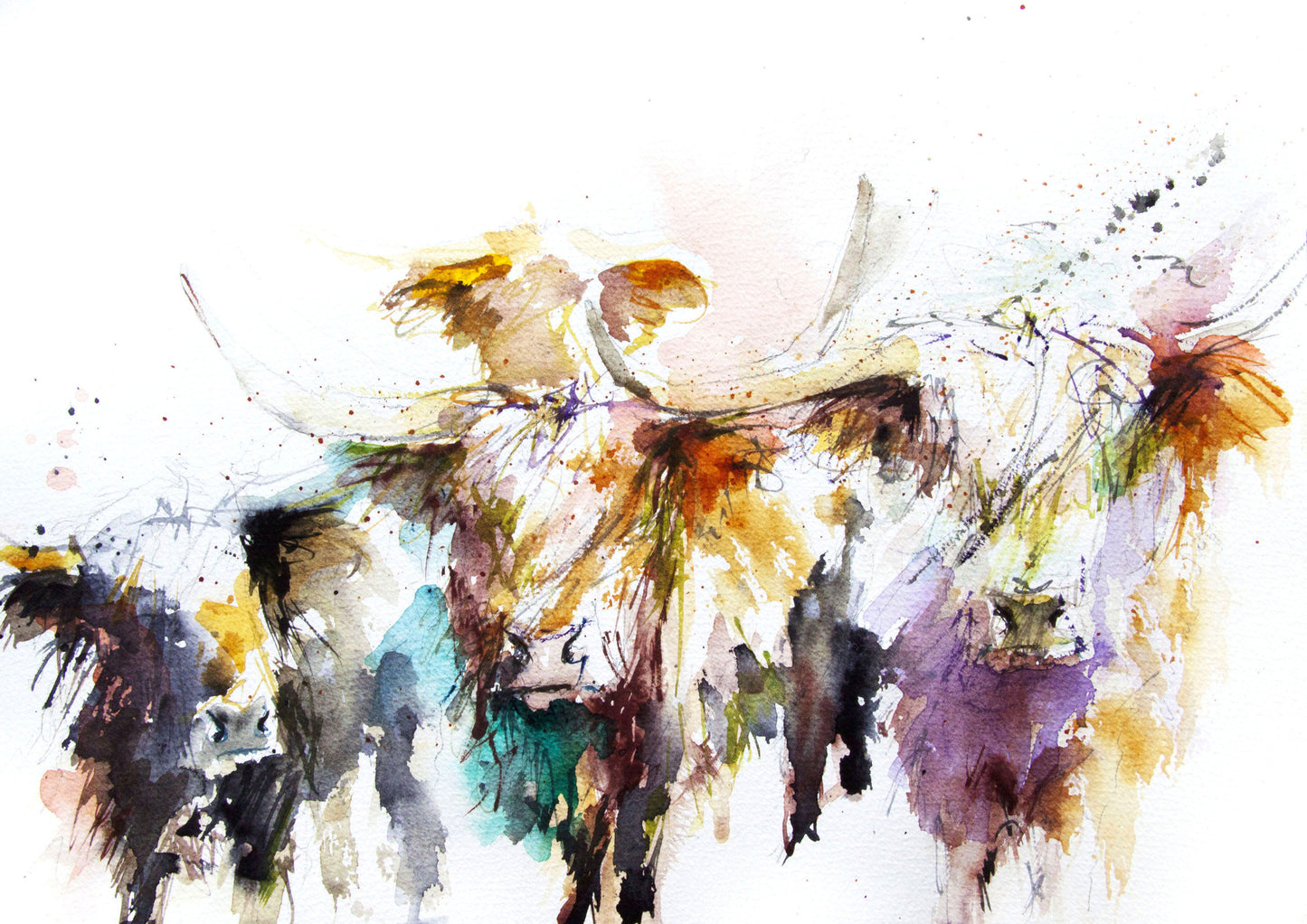 JEN BUCKLEY ART  signed PRINT of my original HIGHLAND COWS watercolour A4   - Jen Buckley Art limited edition animal art prints