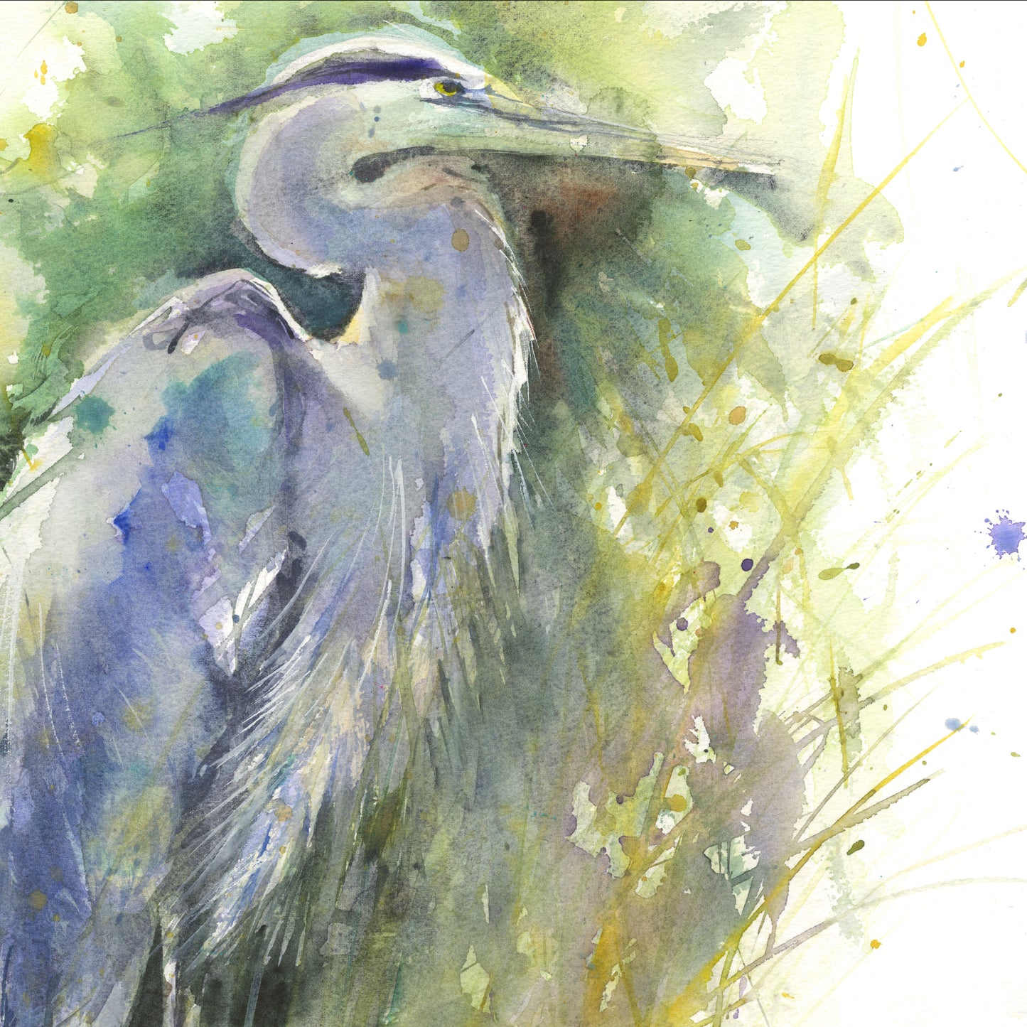 Art print from original watercolour painting "Blue heron" - Jen Buckley Art limited edition animal art prints