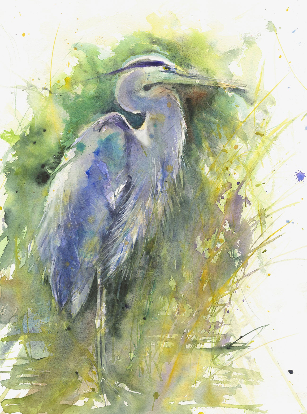 Original watercolour painting "Blue heron"