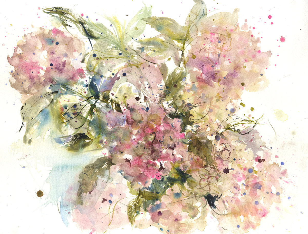 Contemporary floral art  print from original watercolour "Fading hydrangea" - Jen Buckley Art limited edition animal art prints
