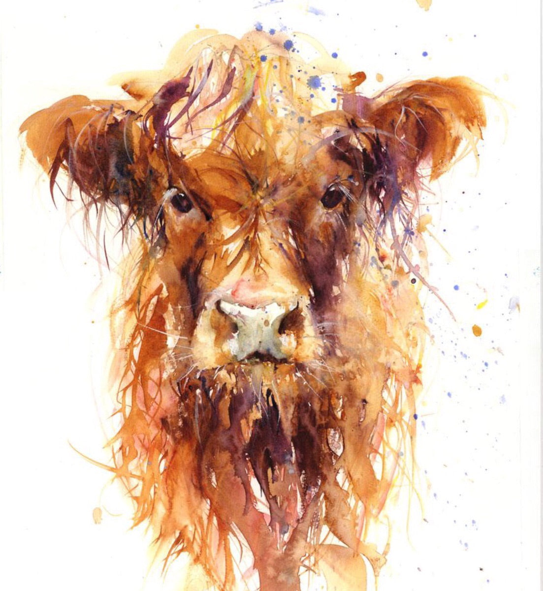 Highland Cow/calf limited edition print - Jen Buckley Art limited edition animal art prints