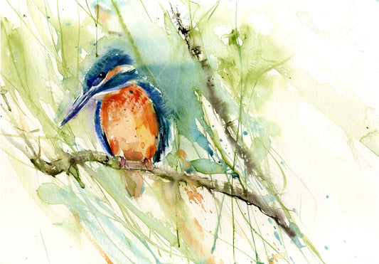 Kingfisher limited edition print - Jen Buckley Art limited edition animal art prints