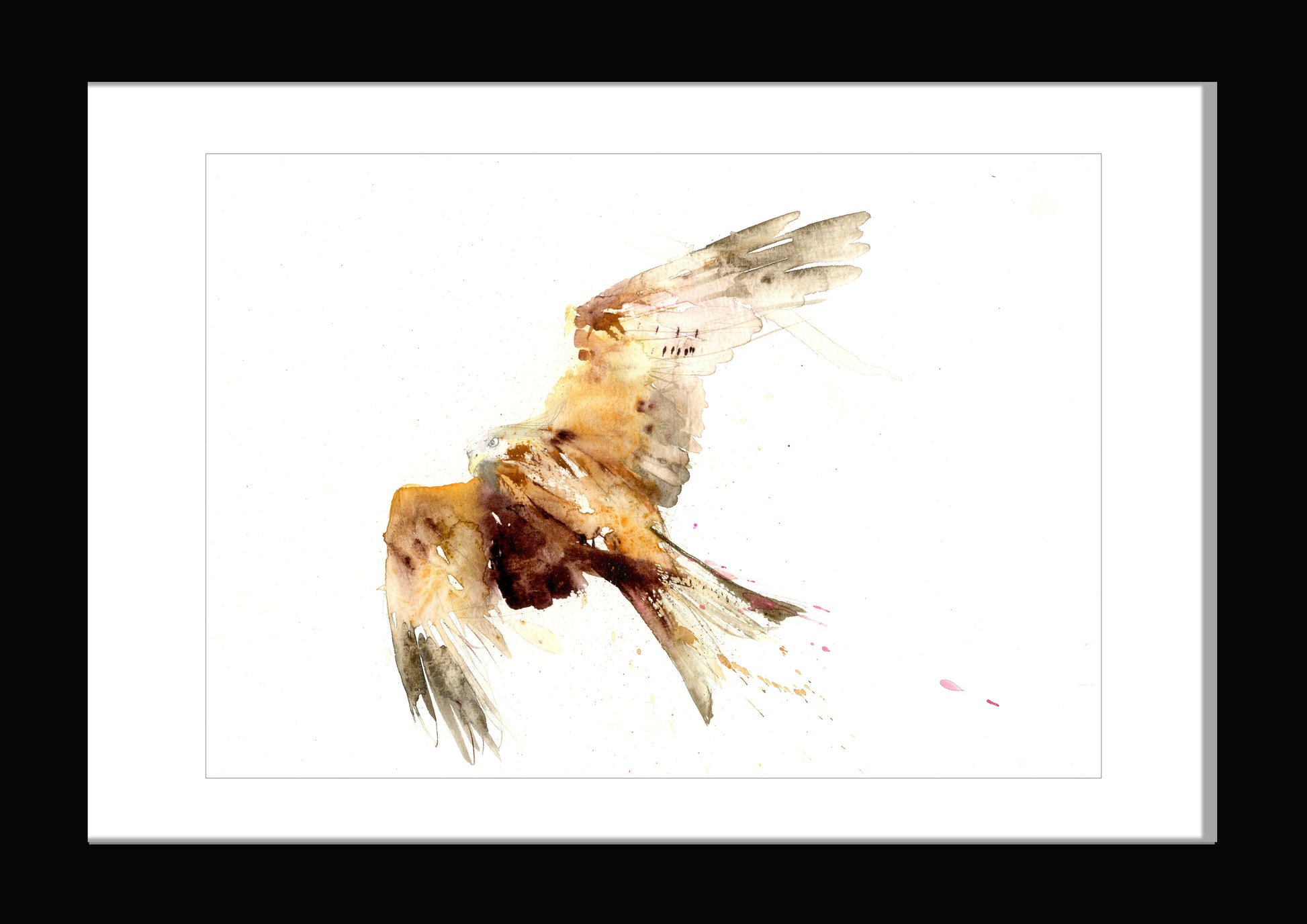 limited edition PRINT of original red kite watercolour - Jen Buckley Art limited edition animal art prints