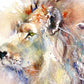 LIMITED EDITON PRINT Asiatic lion - Jen Buckley Art limited edition animal art prints