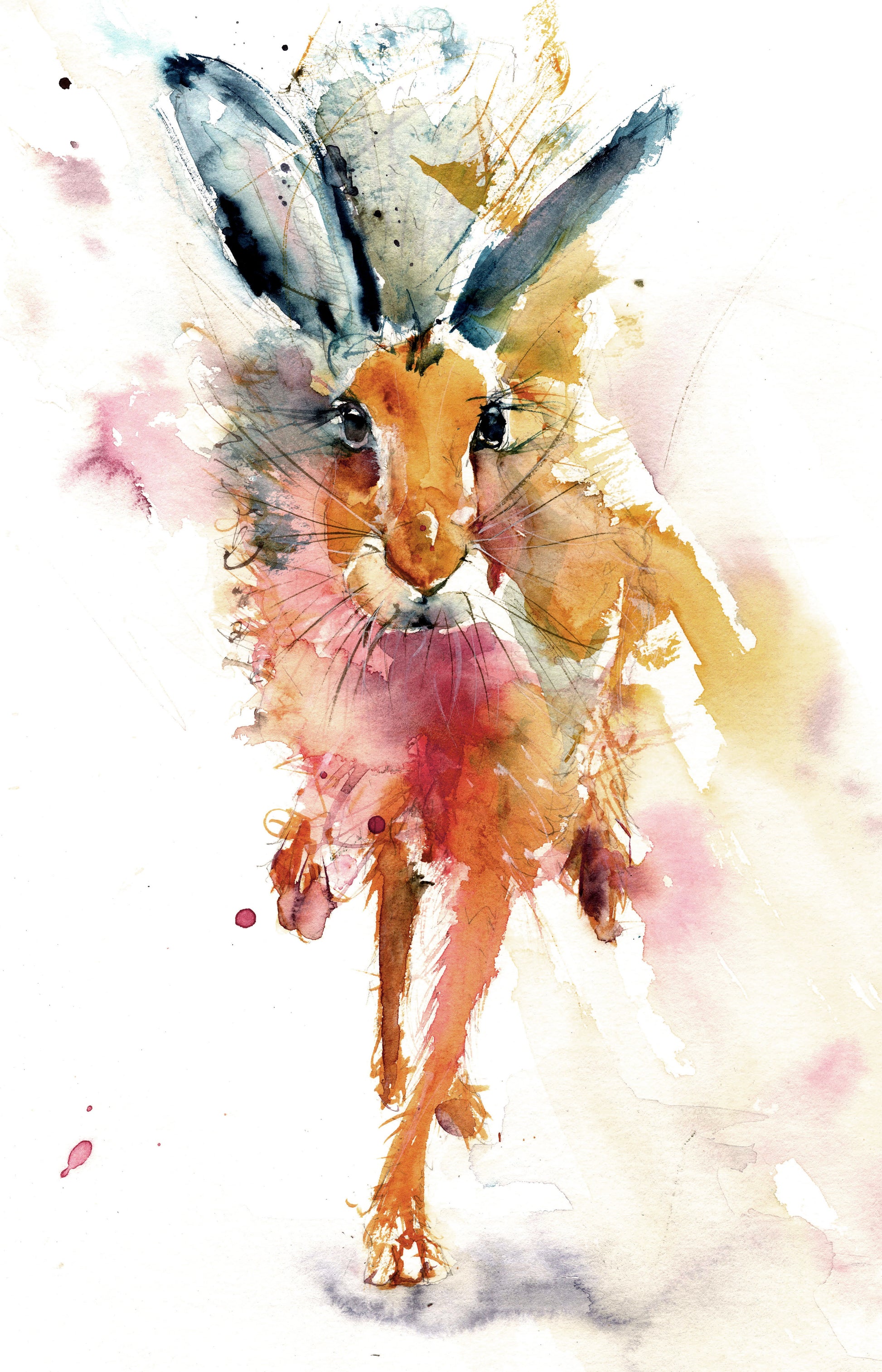 Louis hare limited edition print - Jen Buckley Art limited edition animal art prints