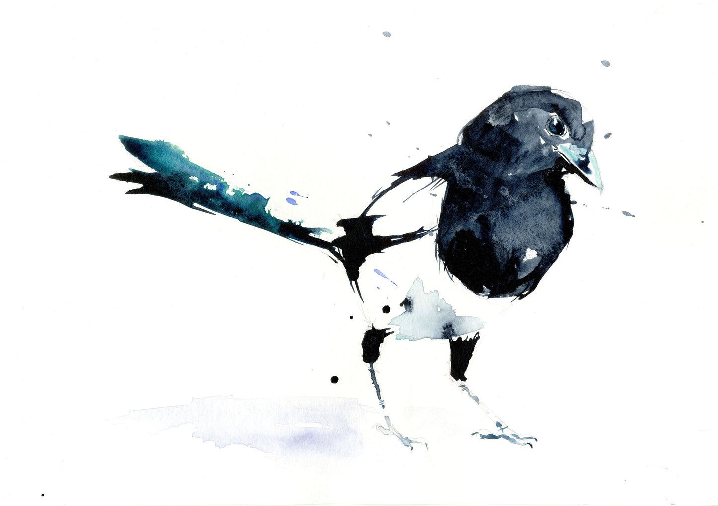Magpie limited edition print - Jen Buckley Art limited edition animal art prints