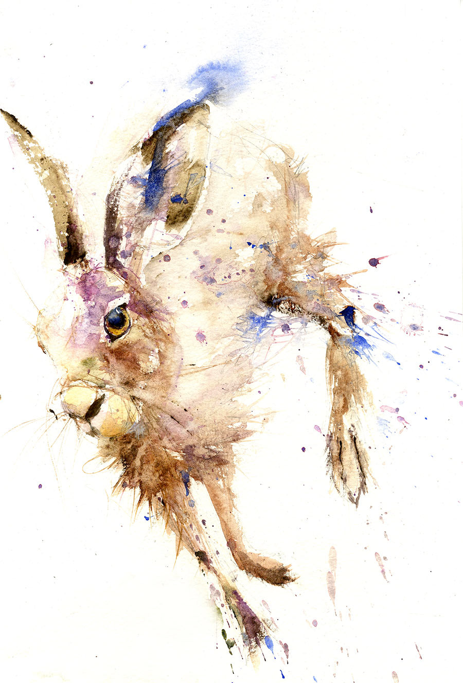 Limited edition hare print "Oliver" - Jen Buckley Art limited edition animal art prints