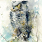 JEN BUCKLEY signed LIMITED EDITON PRINT 'Horned Owl' - Jen Buckley Art limited edition animal art prints
