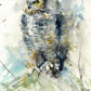 Original watercolour painting 'Horned owl' - Jen Buckley Art limited edition animal art prints
