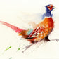 Original watercolour painting 'Running Pheasant' - Jen Buckley Art limited edition animal art prints