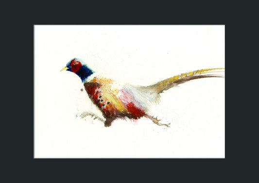 LIMITED EDITON PRINT of my original Pheasant watercolour - Jen Buckley Art limited edition animal art prints