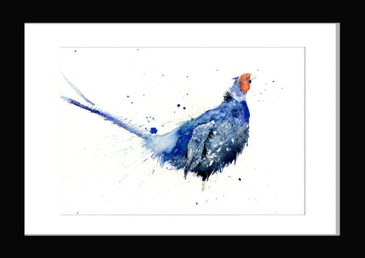 LIMITED EDITON  Blue pheasant watercolour print - Jen Buckley Art limited edition animal art prints