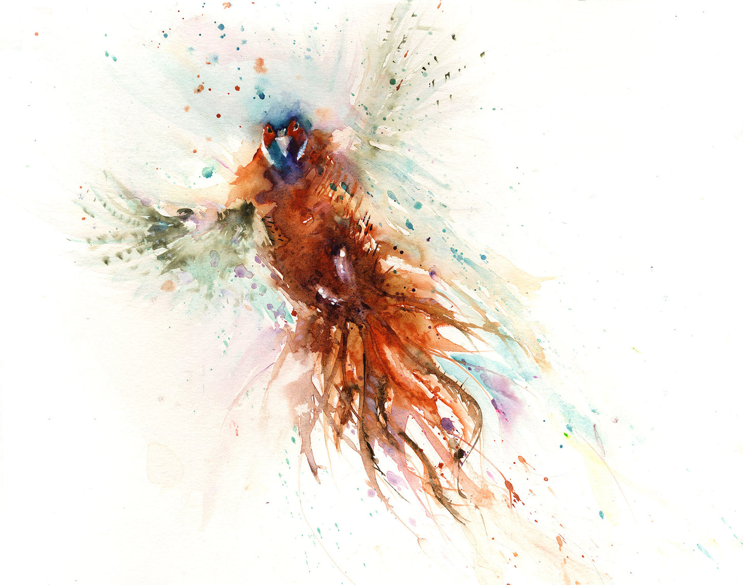 LIMITED EDITON print 'Flushed pheasant' from original watercolour painting - Jen Buckley Art limited edition animal art prints