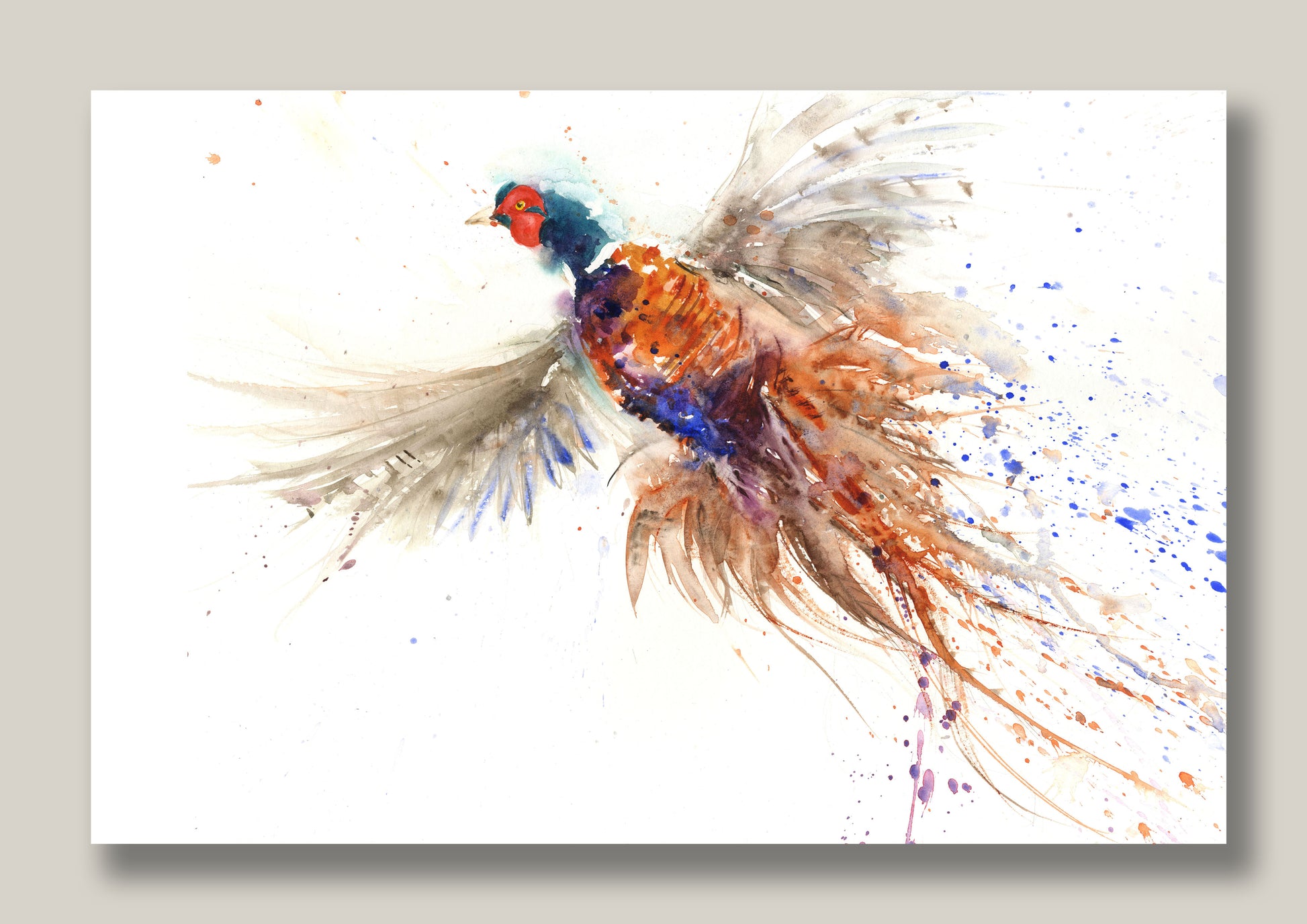 LIMITED EDITON print 'Flushed pheasant' - Jen Buckley Art limited edition animal art prints