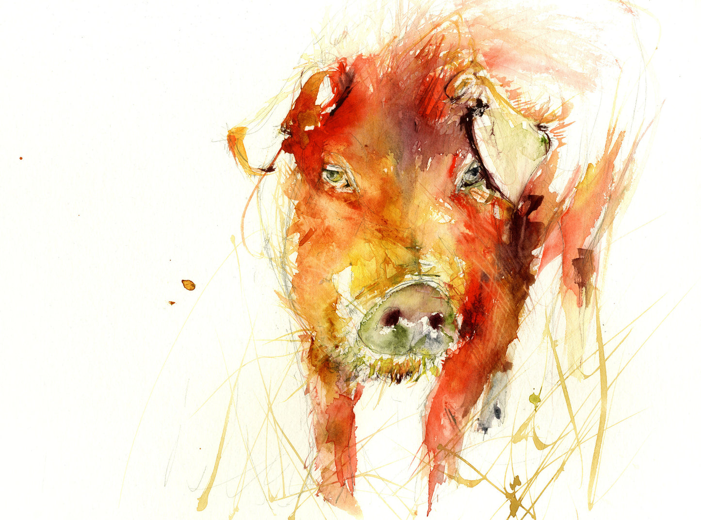 JEN BUCKLEY signed LIMITED EDITON PRINT of my original PIG - Jen Buckley Art limited edition animal art prints
