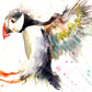 LIMITED EDITON PRINT of my original Flying PUFFIN - Jen Buckley Art limited edition animal art prints