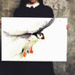 signed LIMITED EDITON PRINT of my original  puffin landing - Jen Buckley Art limited edition animal art prints