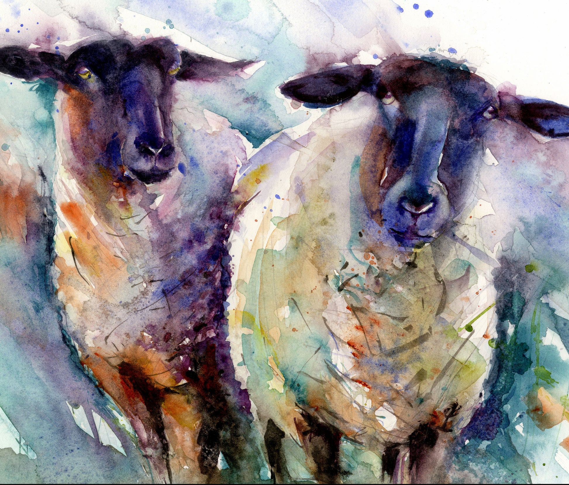 Two ewes limited edition print limited edition print Jen Buckley