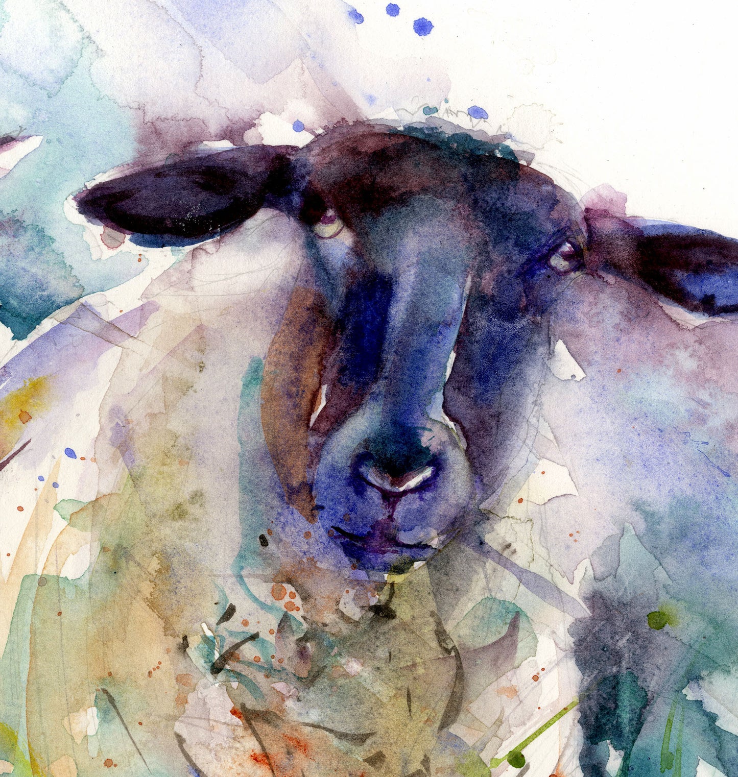 Two ewes limited edition print original watercolour print by Jen Buckley