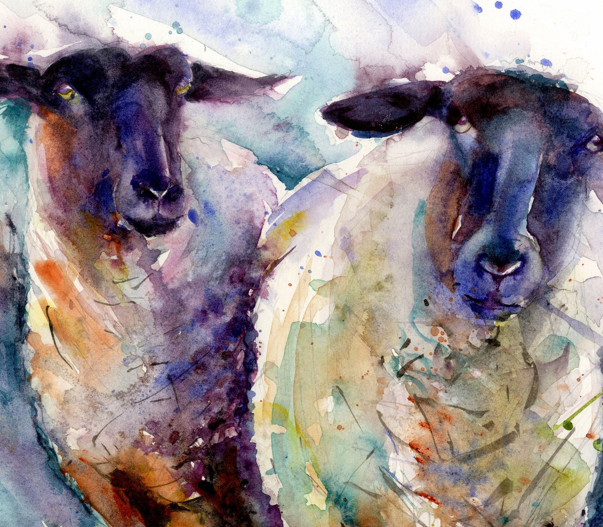 Two ewes limited edition print original watercolour print by Jen Buckley