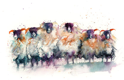Six Suffolk Sheep Limited edition print print - Jen Buckley Art limited edition animal art prints