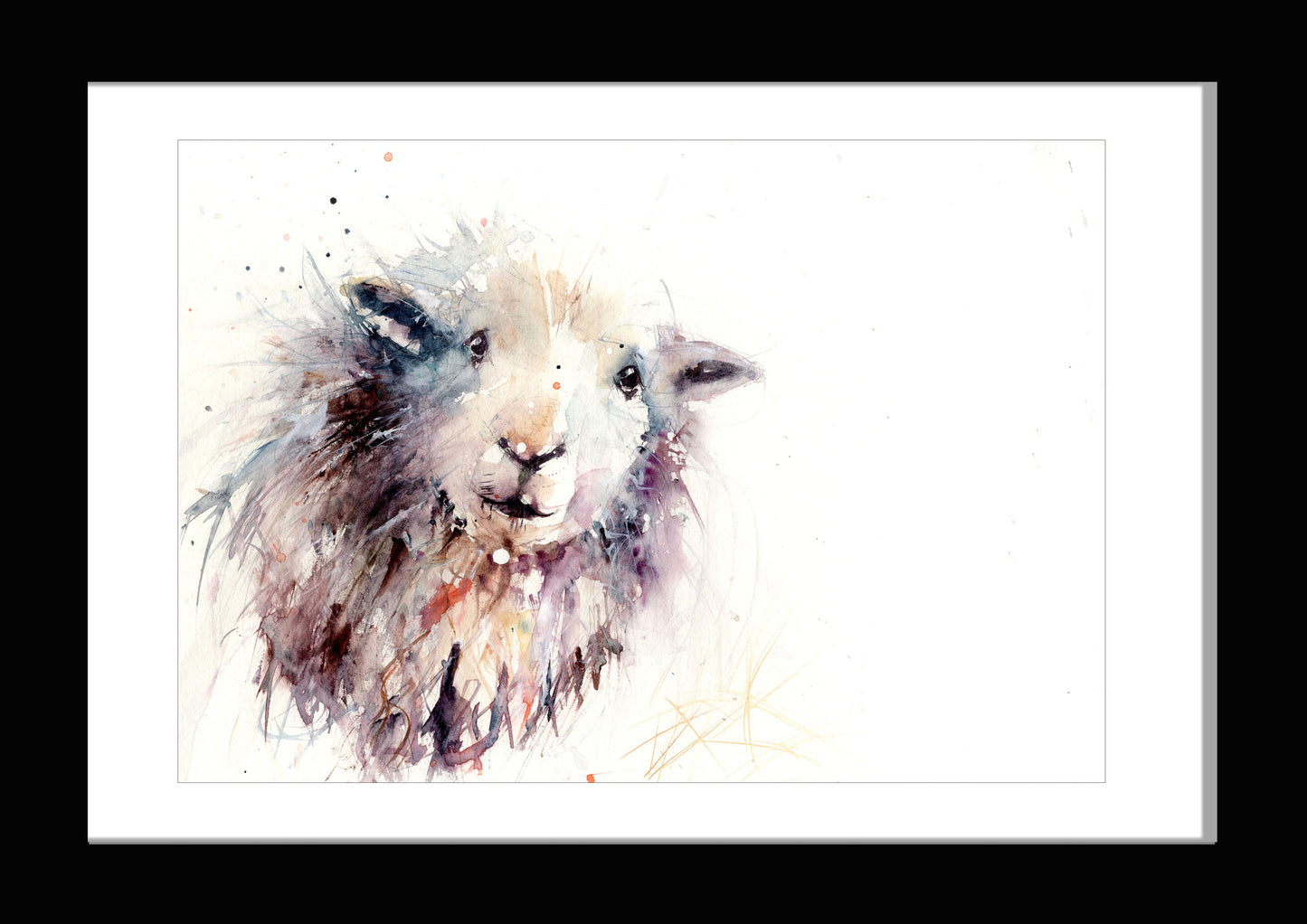 herdwick sheep watercolour print