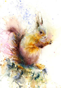 limited edition PRINT of my original RED SQUIRREL watercolour - Jen Buckley Art limited edition animal art prints