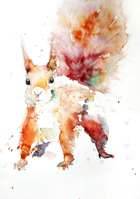 JEN BUCKLEY signed LIMITED EDITON PRINT of my original Squirrel watercolour - Jen Buckley Art limited edition animal art prints
