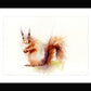 red squirrel watercolour print by Jen Buckley