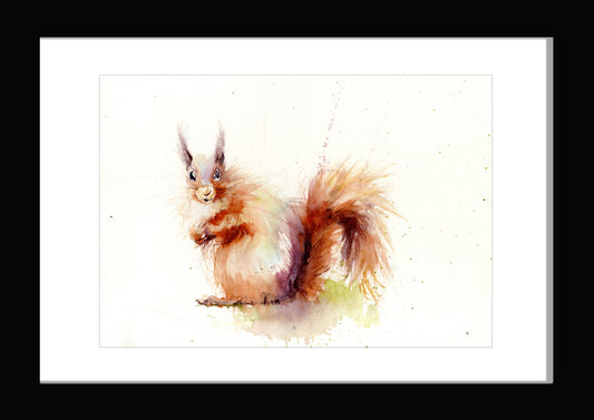 red squirrel watercolour print by Jen Buckley