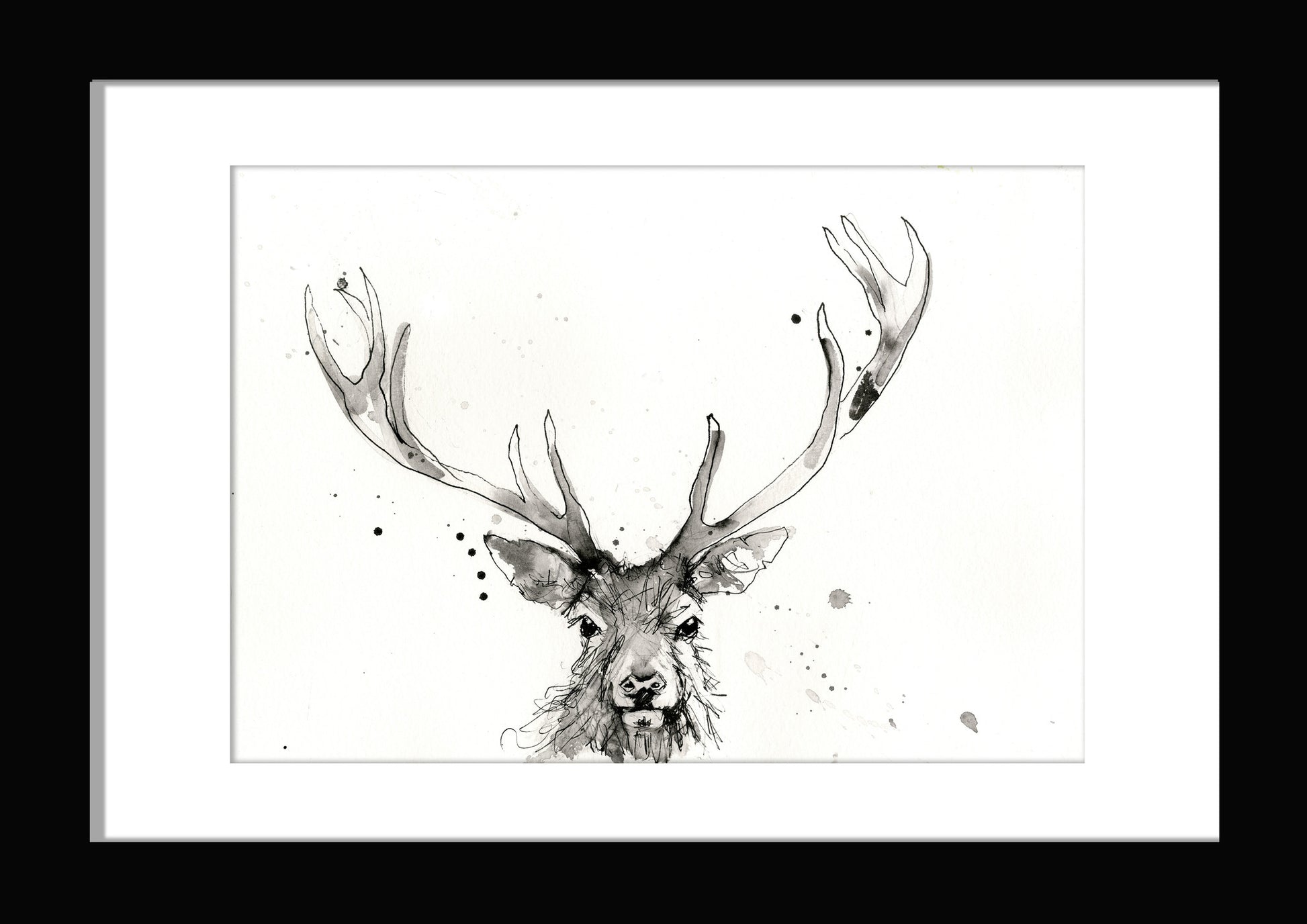 signed LIMITED EDITON PRINT 'Stag'   - Jen Buckley Art limited edition animal art prints