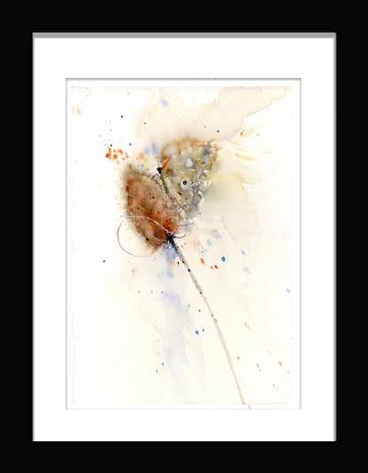 butterfly on a teasle print by jen buckley